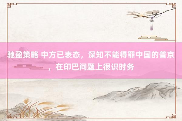 驰盈策略 中方已表态，深知不能得罪中国的普京，在印巴问题上很识时务