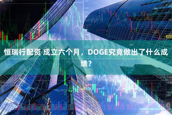 恒瑞行配资 成立六个月，DOGE究竟做出了什么成绩？