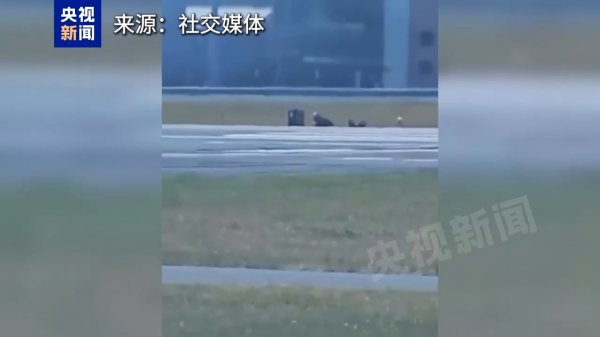 益阳指 惊险一刻！F-15战机滑行时后座人员弹射“升空”