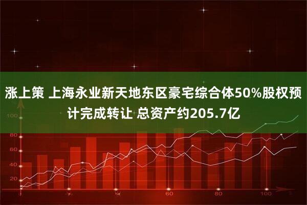 涨上策 上海永业新天地东区豪宅综合体50%股权预计完成转让 总资产约205.7亿
